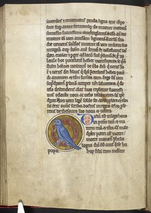 Royal MS 12 C XIX f.50v, Hoopoe, fra 