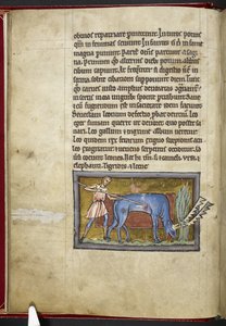 Royal MS 12 C XIX, f.7v Antilope, fra 