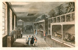 Royal Menagerie, Exeter Change, Strand (farvet stik) af English School