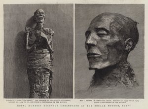 Royal Mummies for nylig unbandaged på Boulak Museum, Egypten (gravering) af English School
