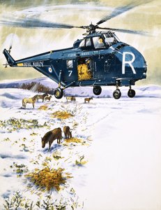 Royal Navy helikopter brugt til redning af dyr af English School