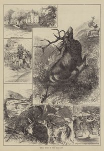 Royal Sport in the Highlands (gravering) af English School