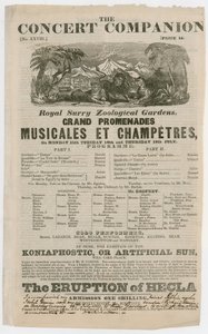 Royal Surrey Zoological Gardens af English School