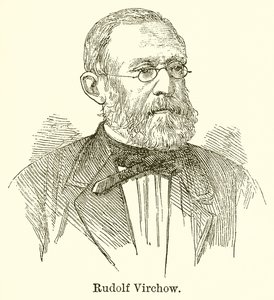Rudolf Virchow af English School