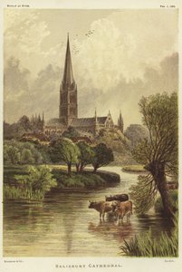 Salisbury Cathedral i Salisbury af English School