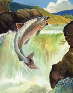 Laks af English School