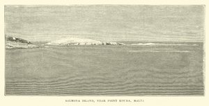 Salmona Island, nær Point Koura, Malta af English School