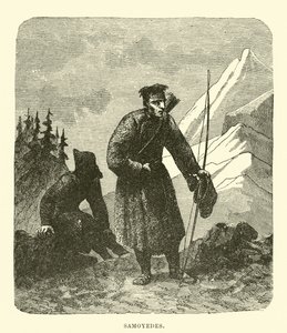 Samoyedes  af English School