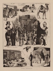 Sangers amfiteater (gravering) af English School