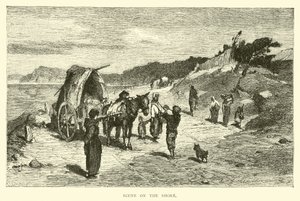 Scene på kysten af English School