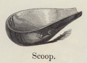 Scoop (gravering) af English School