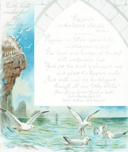 Möwen am Ozean, Neujahrskarte