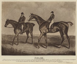 Selim (litho) af English School