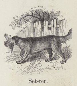 Setter (gravering) af English School