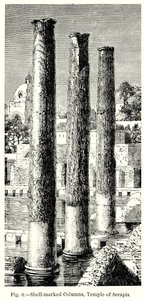 Søjler med muslingeskaller, Serapis-templet (gravering) af English School