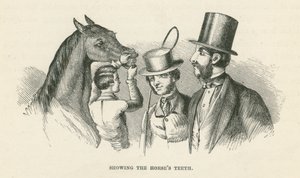 Die Zähne des Pferdes zeigen (Gravur)