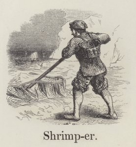 Shrimper (gravering) af English School