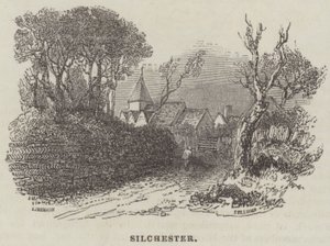 Silchester (gravering) af English School
