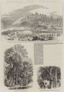 Skitser fra Madagaskar (gravering) af English School