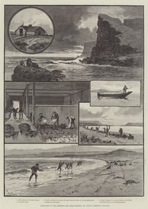 Sketches of the Behring Sea Seal-Fishery, St Paul "s, Pribylov Islandsdani af English School
