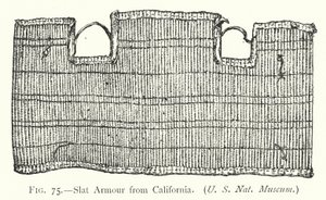 Slat Armor fra Californien (litho) af English School