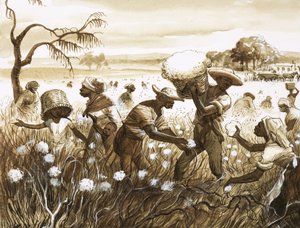 Slaver plukker bomuld af English School