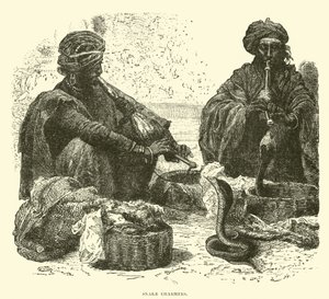 Snake charmers  af English School