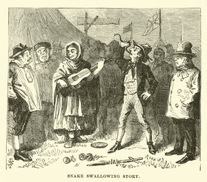 Slange synke historie af English School