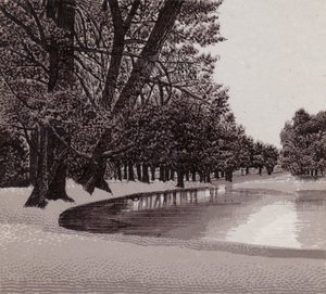 Sophia Gardens, Cardiff (litho) af English School