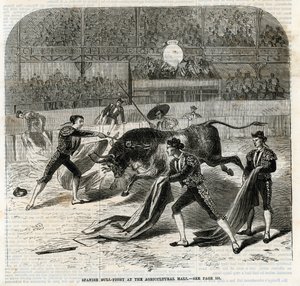 Spansk tyrekamp ved landbrugshallen, Islington af English School