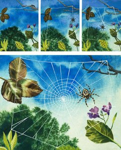 edderkoppespind af English School