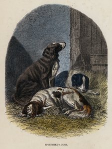 Hunde des Jägers (farbiger Stich)
