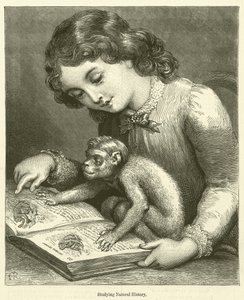 Studerer naturhistorie (kobberstik) af English School