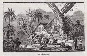 Sukkerproduktion (gravering) af English School