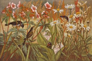 Sommer (chromolitho) af English School