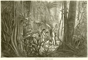 Soldyrkelse af Amazonas indianere af English School
