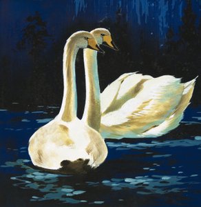 Svaner af English School