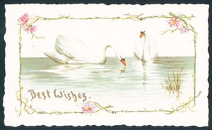 Svaner ved søen, julekort af English School