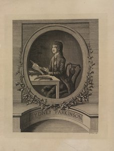 Sydney Parkinson, Frontispiz aus 