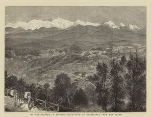 Tedyrkning i Britisk Indien, Udsigt over Darjeeling fra syd (gravering) af English School