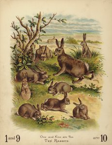 Ti kaniner (chromolitho) af English School