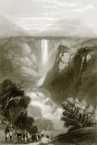 Terni af English School