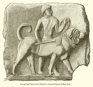 Terracotta-tablet fra Babylon, der repræsenterer en indisk hund af English School