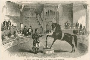 Den amerikanske hest Black Eagle ved Alhambra Palace (Alhambra Theatre), Leicester Square, London af English School