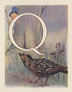 Dyrenes ABC: Bogstavet Q, Vagtel (farvelitografi) af English School