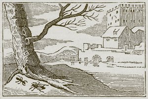 Die Ameise und die Fliege (Gravur)