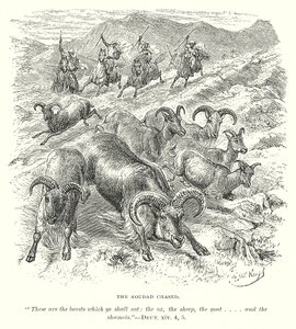 The Aoudad Chased (gravering) af English School