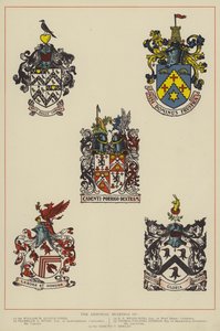 Våbenskjoldet (farvelitografi) af English School
