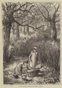 Beaconsfield-jubilæet, indsamling af Primroses (gravering) af English School