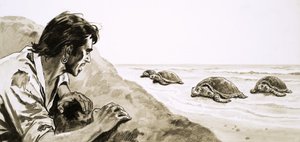 De skibbrudne: Terror of Turtle Island af English School